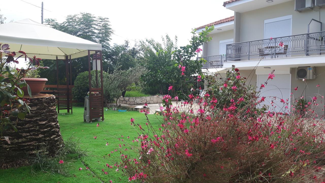 Apartmán Alba Boutique *